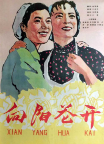 久久这里只有精品免费播放